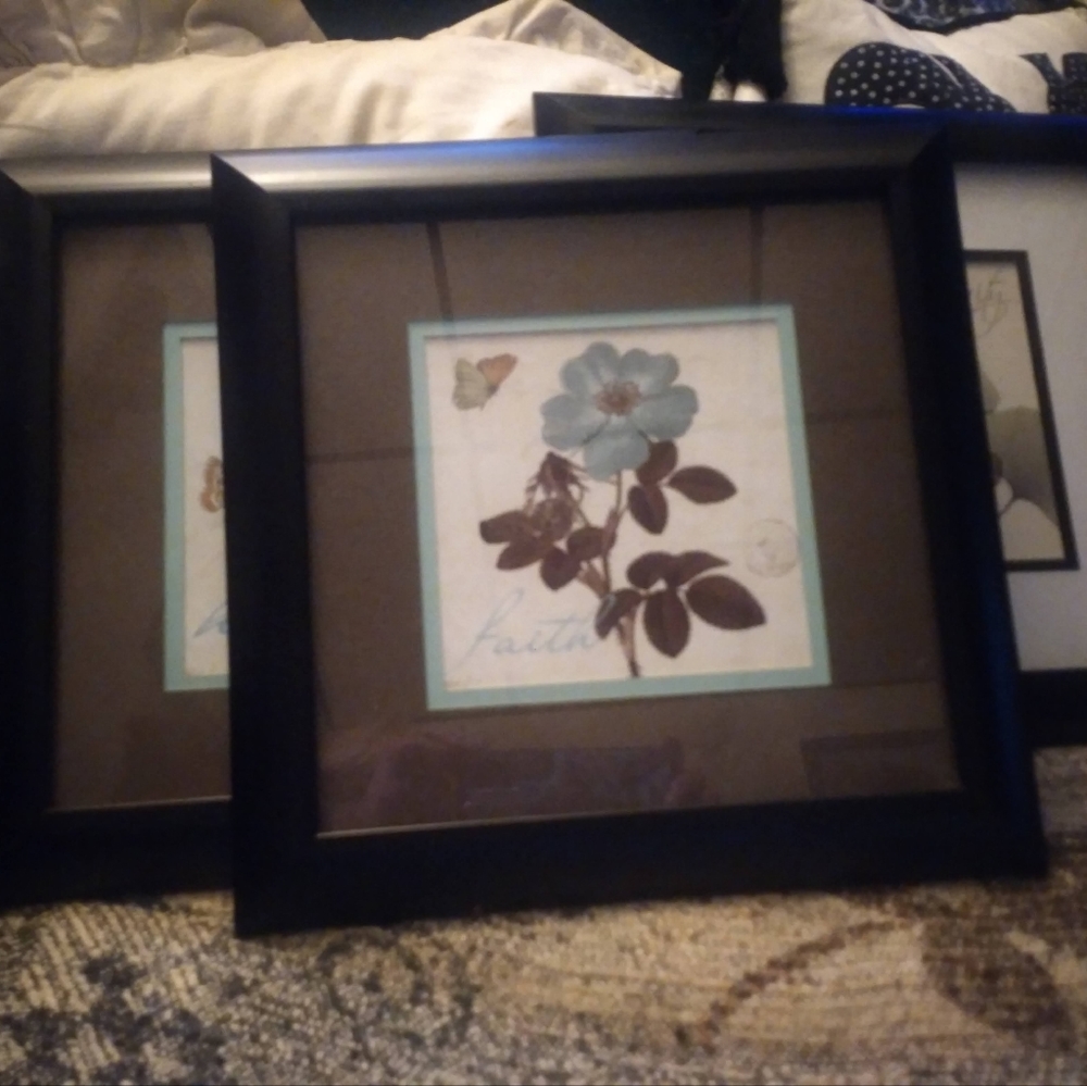 Botanical Framed Art - Set Of 3 - Faith, Hope & Serenity
